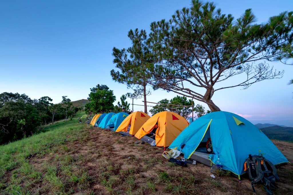 Home Blue and yellow camping tents located on ground near evergreen trees in mountainous terrain against cloudless sunset sky